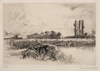 Wiesenlandschaft