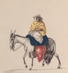 Ein Metzger auf einem Esel reitend, aus einer Gruppe von Zeichnungen, die peruanische Kostüme darstellen, ca. 1848