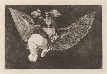 Disparate volante (Fliegende Torheit)