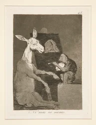 Ni mas ni menos (Weder mehr noch weniger), Tafel 41 aus der Serie Los caprichos