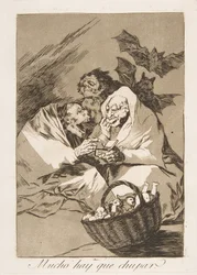 Tafel 45 aus Los Caprichos: Es gibt viel zu saugen, 1799