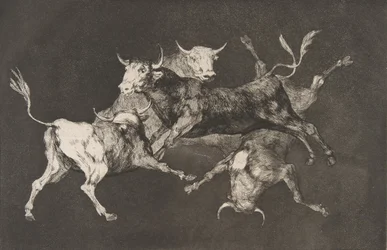 Platte D aus den Disparates: Narren- oder kleine Stiere - fo..., ca. 1816-23 veröffentlicht vor 1877