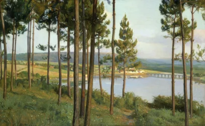 La Ria del Burgo