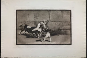 Stierkämpfe: Ein Mohr wird in der Arena von einem Stier erfasst, 1876.