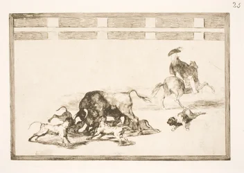Sie hetzen die Hunde auf den Stier