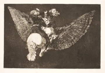 Den fliegenden Wahnsinn (Verzichte auf den Freund, der dich unter seinen Flügeln verbirgt und dich mit seinem Schnabel beißt)