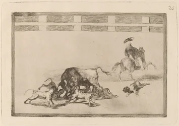 Sie lassen Hunde auf den Stier los