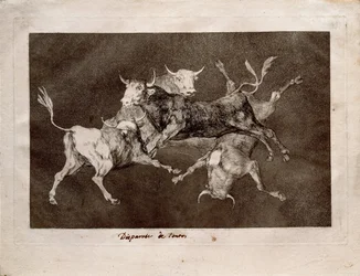 Narrentollheit aus der Serie Los Disparates Follies, 1815-1819