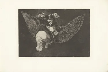 Fliegende Torheit