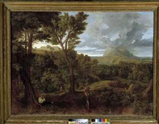 Landschaft