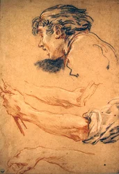 Kopf eines Hirtenjungen und Studien seiner Hand und seines Arms