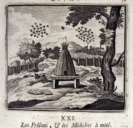 Hornissen und Honigfliegen. Fabeln von Jean de La Fontaine. Illustration von François Chauveau. Ausgabe von 1728.