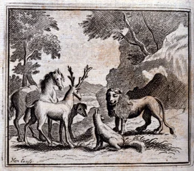 Illustration aus den 