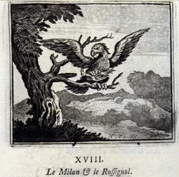 Milan und die Nachtigall. Fabeln von Jean de La Fontaine. Illustration von François Chauveau. Ausgabe von 1728.