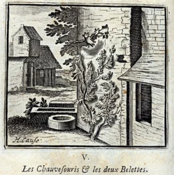 Die Fledermaus und die zwei Wiesel. Fabeln von Jean de La Fontaine. Illustration von François Chauveau. Ausgabe von 1728.