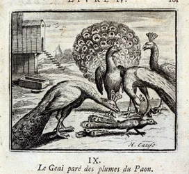 Der Eichelhäher schmückt sich mit Pfauenfedern. Fabeln von Jean de La Fontaine (1621-95). Illustration von François Chauveau (1613-1676). Ausgabe von 1728.