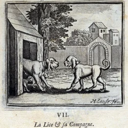 Die Laus und ihr Gefährte. Fabeln von Jean de La Fontaine. Illustration von François Chauveau. Ausgabe von 1728.