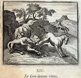 Der alt gewordene Löwe. Fabeln von Jean de La Fontaine. Illustration von François Chauveau. Ausgabe von 1728.