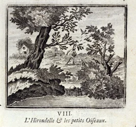 Die Schwalbe und die kleinen Vögel. Fabeln von Jean de La Fontaine. Illustration von François Chauveau. Ausgabe von 1728.