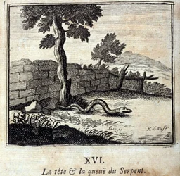Der Kopf und der Schwanz der Schlange. Fabeln von Jean de La Fontaine (1621-95). Illustration von François Chauveau (1613-1676). Ausgabe von 1728.