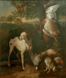 Hund und Wild