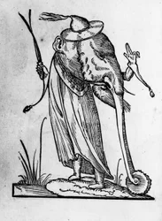 Illustration aus 