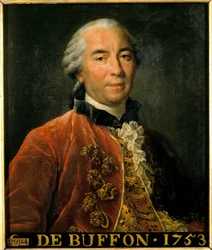 Porträt von Georges Louis Leclerc, Graf von Buffon, Intendant der königlichen Gärten, Naturforscher und Schriftsteller