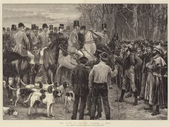 Der Zustand Irlands, eine Jagd stoppen