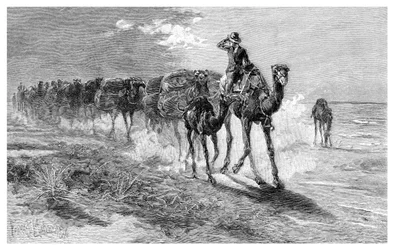 Kamele tragen Wolle, 1886
