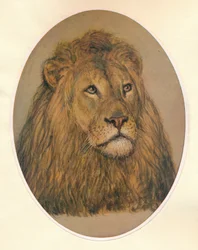 Löwenkopf, um 1896