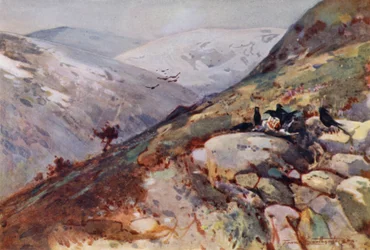 In der Nähe von Kielder (Farblithografie)