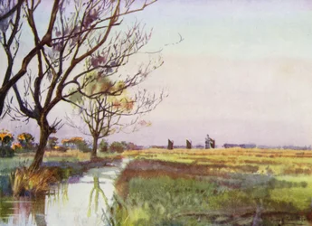 Norfolk Broads: Marschland bei Barton