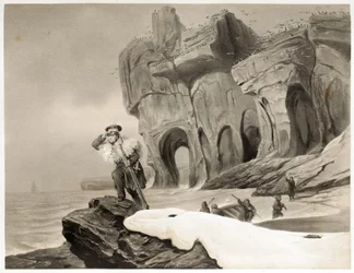 Bäreninsel aus Voyages en Scandinavie, en Laponie, au Spitzberg et aux Feroe, veröffentlicht 1852 (Gravur)