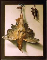 Trompe l’oeil mit toten Vögeln