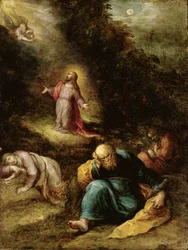 Die Agonie im Garten