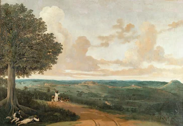 Brasilianische Landschaft um Porto Calvo