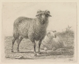 Widder und Schaf