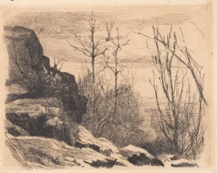 Probetafel: Landschaft mit Felsen und Bäumen