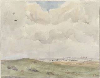 Dünenlandschaft mit Herde