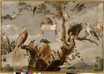 Ein Vogelkonzert