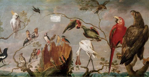 Vogelkonzert