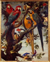 Papageien und andere Vögel, Gemälde von Frans Snyders