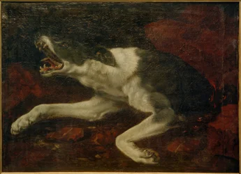 Verletzter Hund