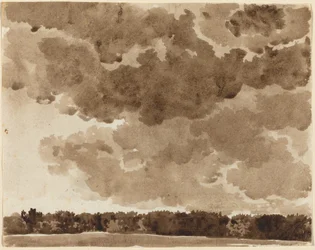 Wolken über einem Wald