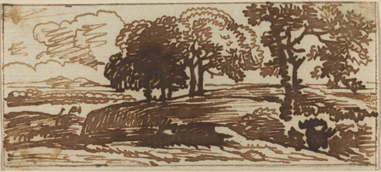 Landschaft