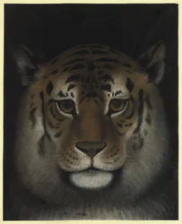 Tigerkopf