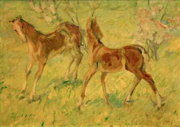 Fohlen auf der Weide (Springende Fohlen)