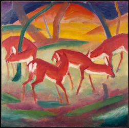 Rothirsch 1