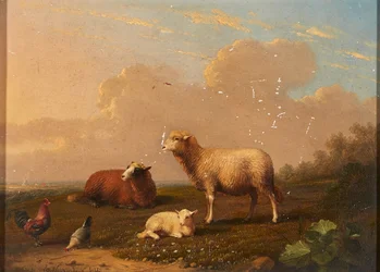 Schafe und Hühner auf einer Wiese