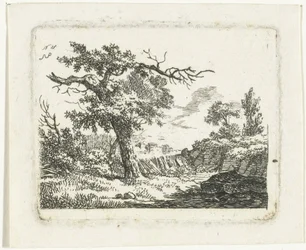 Landschaft mit Baum mit zwei toten Ästen